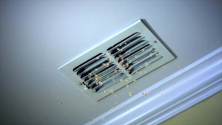 Best Local Air Duct Cleaning Services  in Nashvle, IL
