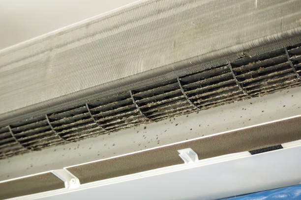 Best Commercial HVAC Duct Cleaning  in Nashvle, IL
