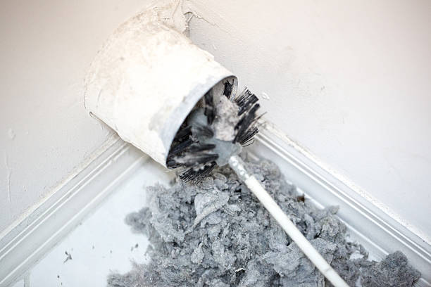 Best Air Vent Cleaning Services  in Nashvle, IL